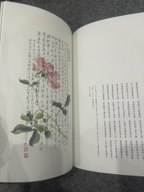 董桥墨趣（董桥签名钤印，董桥签，包邮，书法图录）