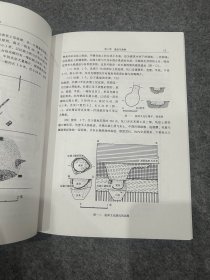 福泉山：新石器时代遗址发掘报告（精装一版一印，包邮）