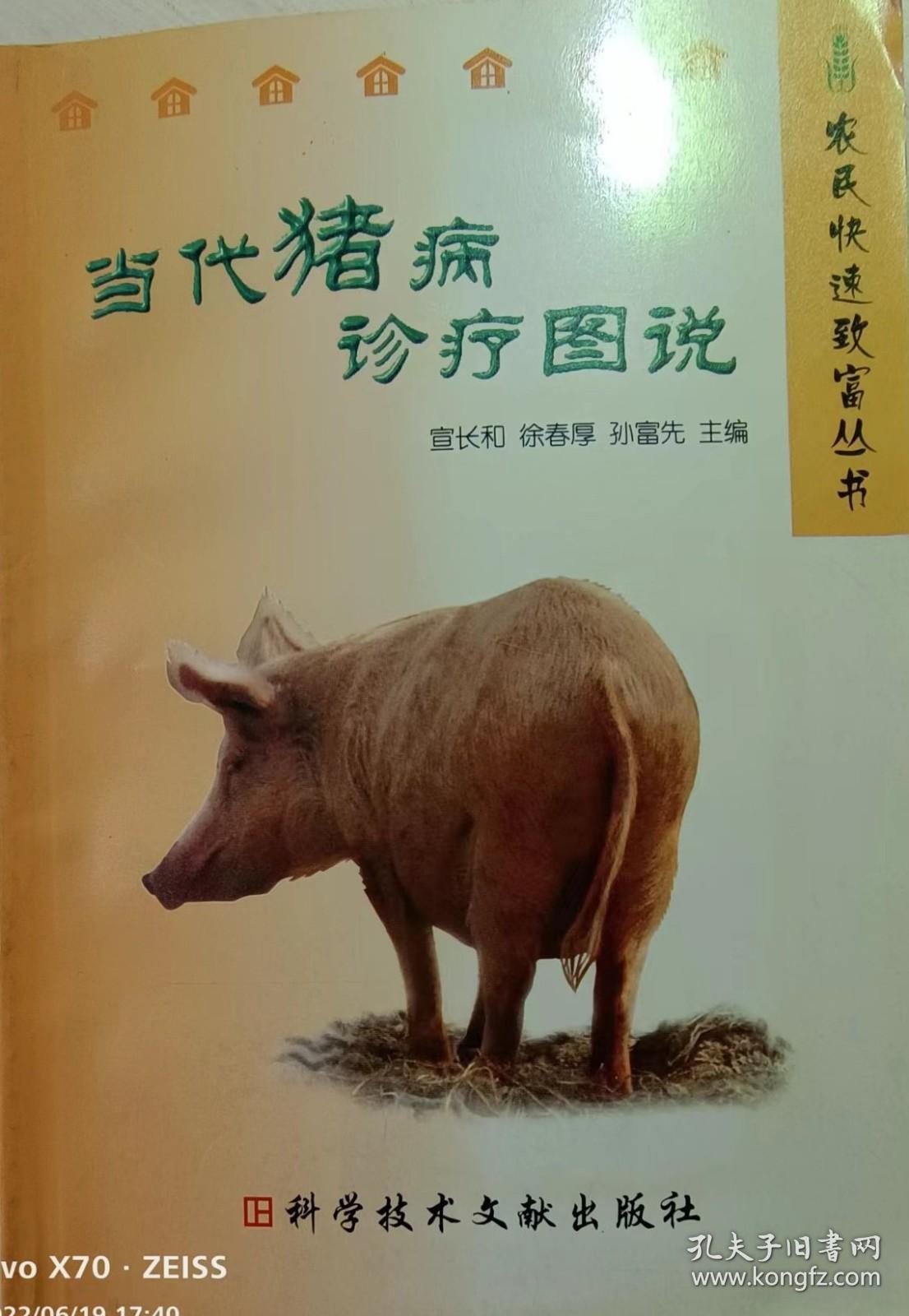 点击查看原图 当代猪病诊疗图说