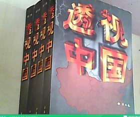 透视中国 1-4卷