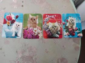 卡片    猫     4张