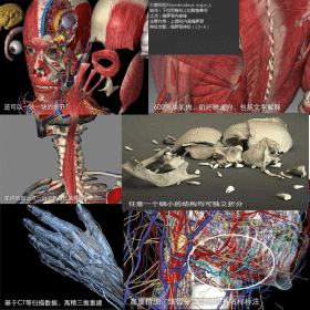 3D人体系统解剖软件光盘加密版