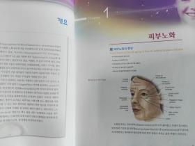 韩文原版书：더마셀 리프팅 Derma Cell Lifting（大16开精装）真皮提拉术