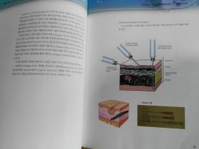 韩文原版书：더마셀 리프팅 Derma Cell Lifting（大16开精装）真皮提拉术