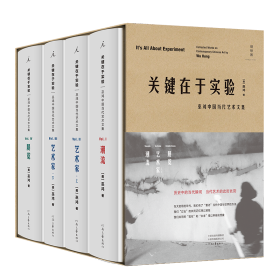 关键在于实验：巫鸿中国当代艺术文集