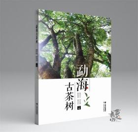 勐海古茶树 何青元 等 主编 云南科技出版社