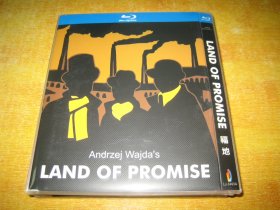 福地 乐土 / Land of Promise  (1975)  波兰电影大师  安杰伊·瓦伊达经典作品    第48届奥斯卡金像奖 最佳外语片(提名)