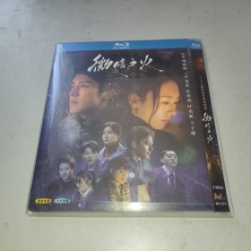 微暗之火 (2024)  童瑶 / 张新成 / 叶祖新 / 王子璇 / 赵浩闳  2碟