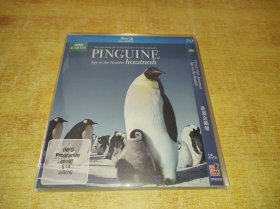 BBC 卧底企鹅帮 Penguins: Spy in the Huddle (2013)