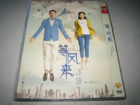 DVD  等风来 (2013)  倪妮 / 井柏然