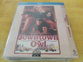 猫头鹰市中心 Downtown Owl (2023)  凡妮莎·哈金斯 / 亨利·戈尔丁 / 艾德·哈里斯