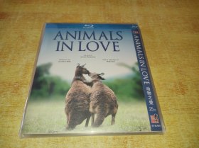 动物之爱 Animals in love (2007)