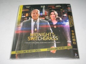 午夜的柳枝 Midnight in the Switchgrass (2021) 梅根·福克斯 布鲁斯·威利斯