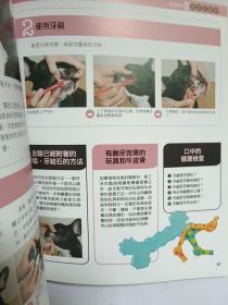 法国斗牛犬的调教与饲养法