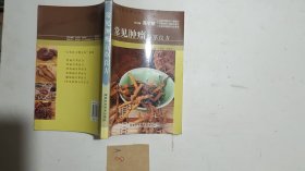 常见肿瘤百草良方