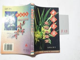 中国兰花栽培与鉴赏