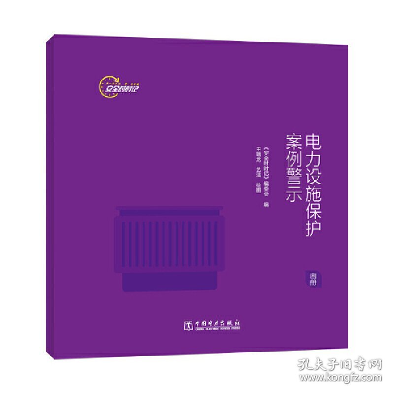 【正版新书】安全时时记 电力设施保护案例警示（画册）