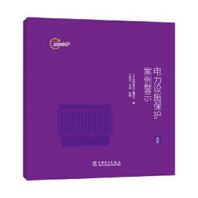 【正版新书】安全时时记 电力设施保护案例警示（画册）