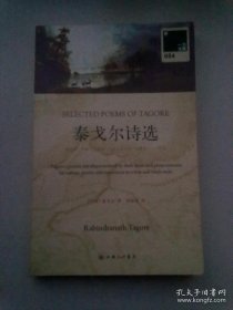 一力文库（034）《泰戈尔诗选》【2009年10月一版一印】