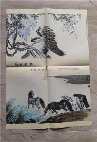 袁晓岑 画页 孔雀 骏马