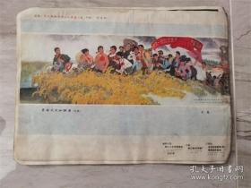 浙江工农兵画报 1976年1月