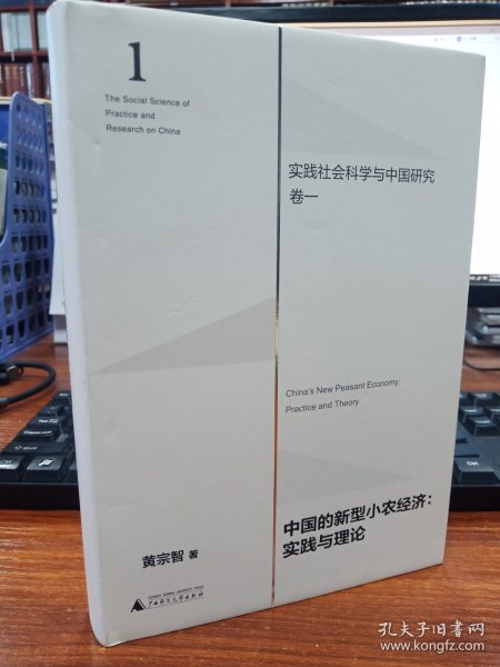 中国的新型小农经济：实践与理论（实践社会科学与中国研究·卷一）