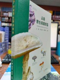 云南野生毒菌图鉴