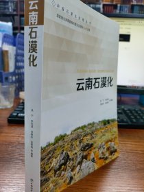 云南石漠化/中国石漠化治理丛书