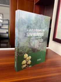 云南省主要森林类型常见植物图鉴