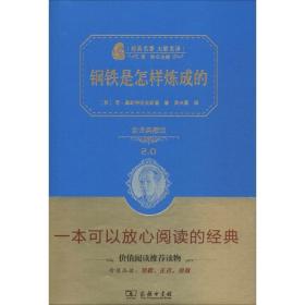 经典名著 大家名译：钢铁是怎样炼成的（全译本 商务精装版）