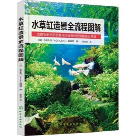 水草缸造景全流程图解