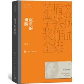 茅盾文学奖获奖作品全集：沉重的翅膀