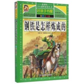 钢铁是怎样炼成的/新课标学生课外必读丛书
