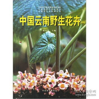 中国云南野生花卉
