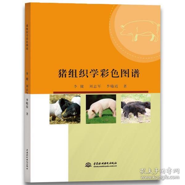 猪组织学彩色图谱