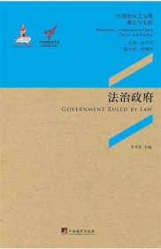 法治政府-中国的民主治理理论与实践