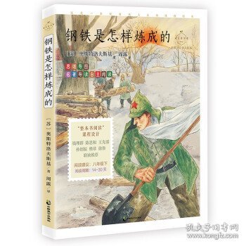 钢铁是怎样炼成的：名家公开课美绘版（八年级下名著导读自主阅读，一部超越国界的伟大文学作品，法国文豪罗曼·罗兰称赞其为“对火热而英勇的生命的一曲颂歌”，思维导图+音频导读+彩绘内插）