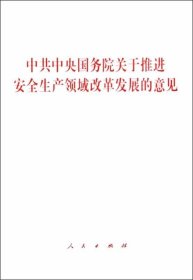 中共中央国家院关于推进安全生产领域改革发展的意见