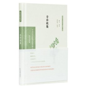 辛棄疾集(中華文史名著精選精譯精注:全民閱讀版)