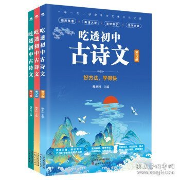 吃透初中古诗文（共3册）