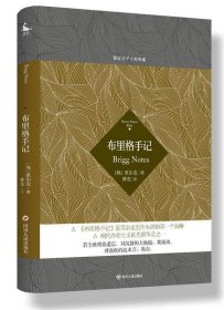 德语文学大师典藏：布里格手记