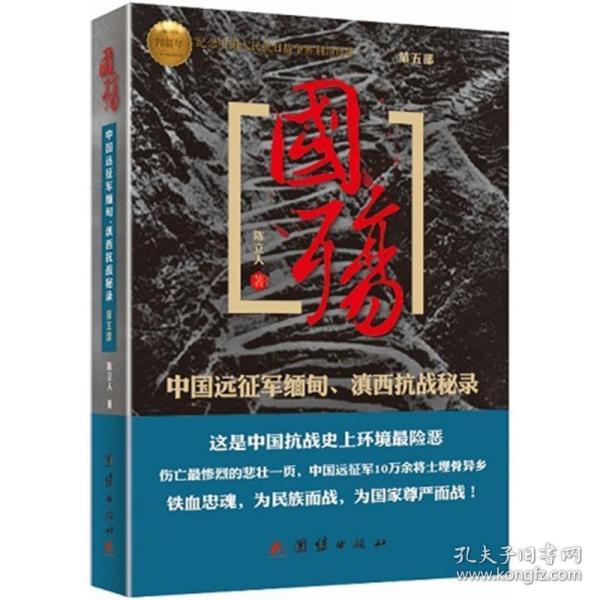 国殇（第5部）：中国远征军缅甸、滇西抗战秘录