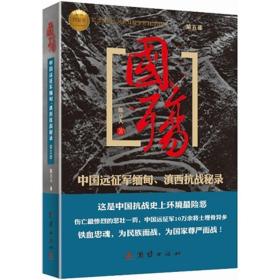 国殇（第5部）：中国远征军缅甸、滇西抗战秘录