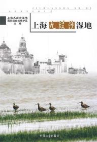 上海九段沙湿地