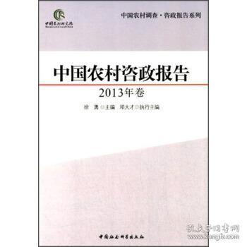 中国农村调查·咨政报告系列：中国农村咨政报告（2013年卷）