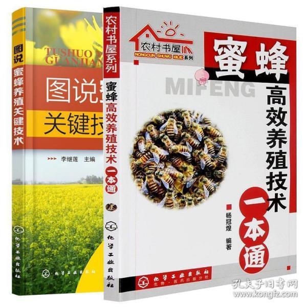 图说蜜蜂养殖关键技术