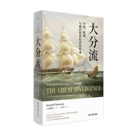 大分流 中国、欧洲与现代世界经济的形成