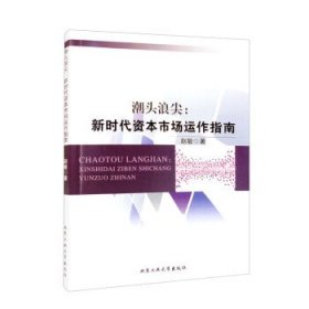 潮头浪尖：新时代资本市场运作指南