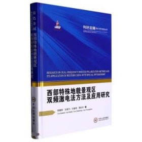 西部特殊地貌景观区双频激电法方法及应用研究