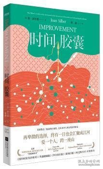 时间胶囊（美国国家畅销书，福克纳小说奖获奖作品，作者被誉为美国的“艾丽丝·门罗”）